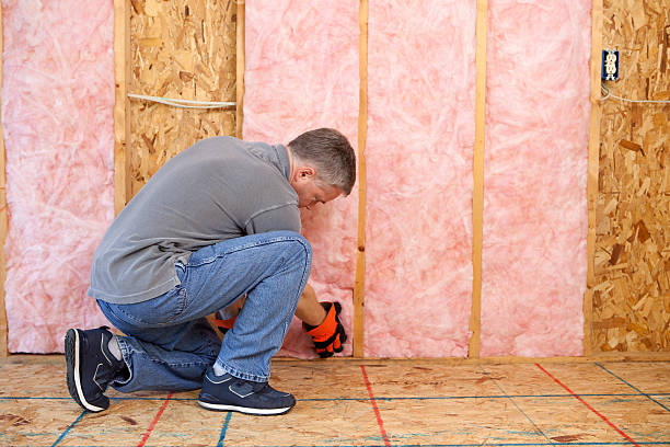 Professional Insulation Contractor in Lewes, DE
